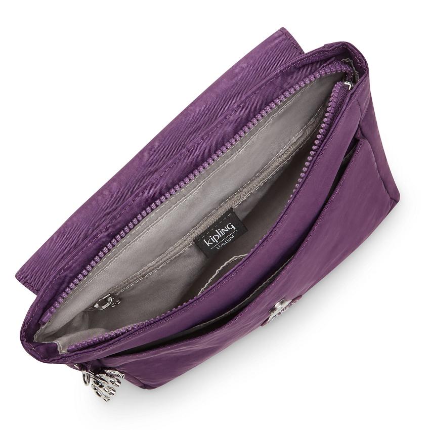 Kipling Dannie Backpacks Purple | Ki1672N