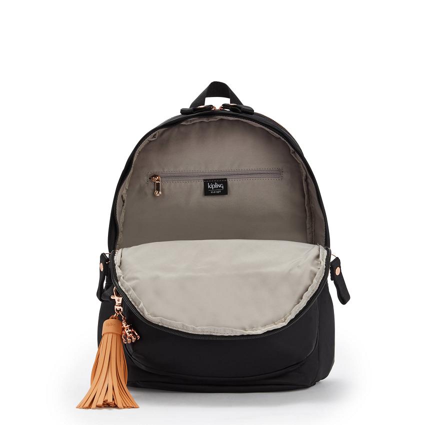 Kipling Delia Medium Backpacks Rose Black | Ki1747I