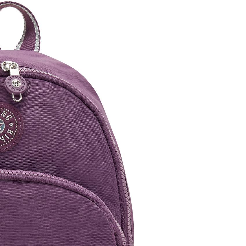 Kipling Paola Backpacks Purple | Ki1995S